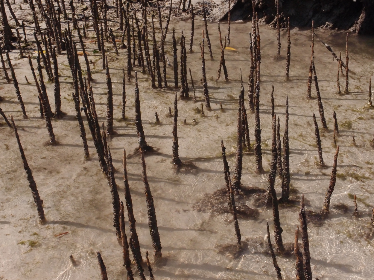 2015-10-07 Habitat des Lorbi (Foto)